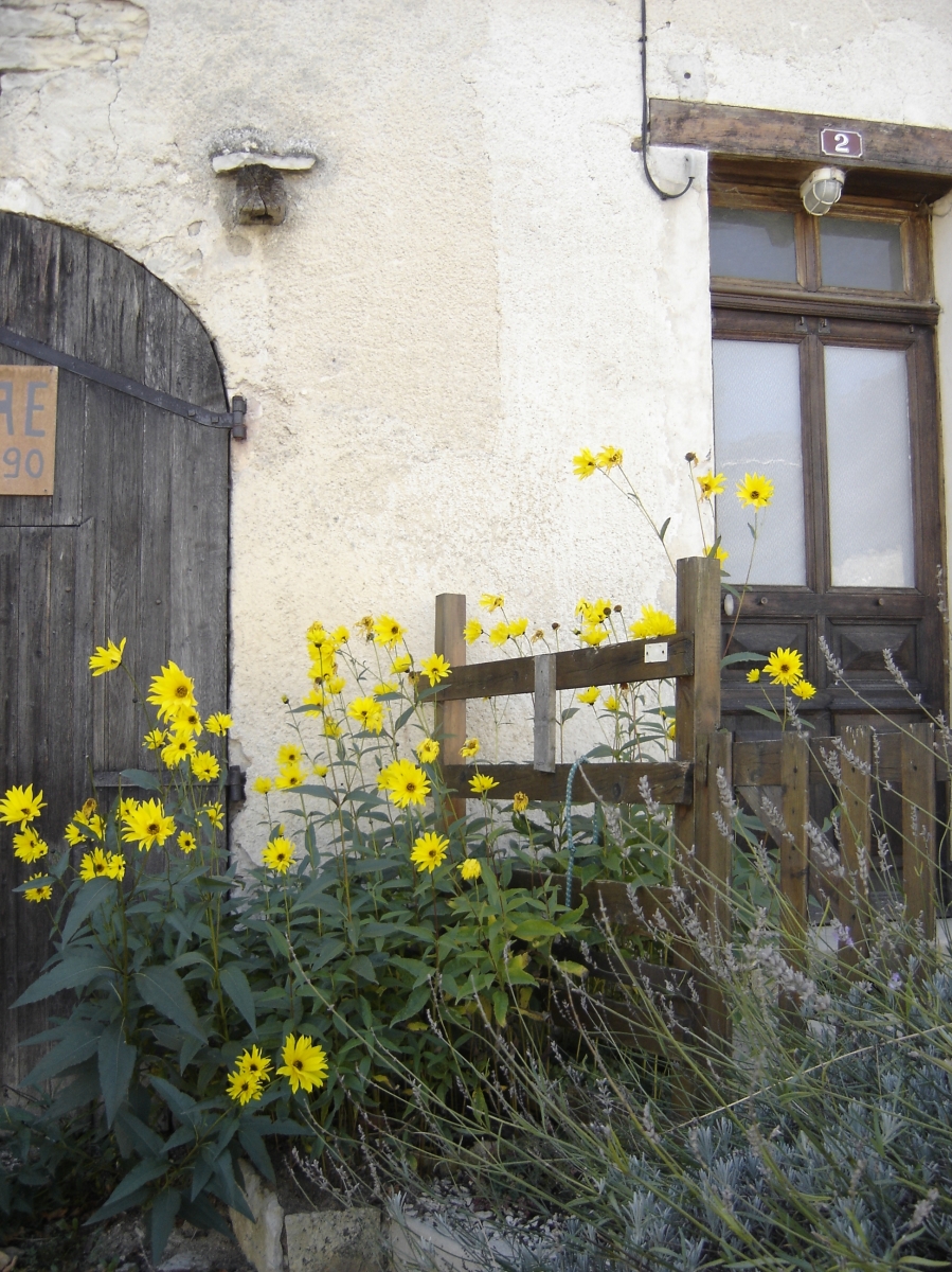 Essoyes - Yellow flowers and lavender against dark wood and stucco with rounded door - gorgeous!