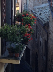 Orvieto - view from window 2